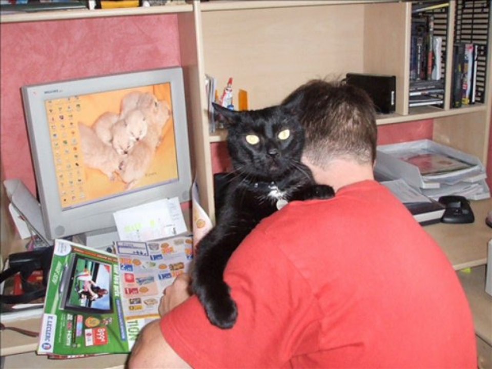 POUMBA ma panthère noire.