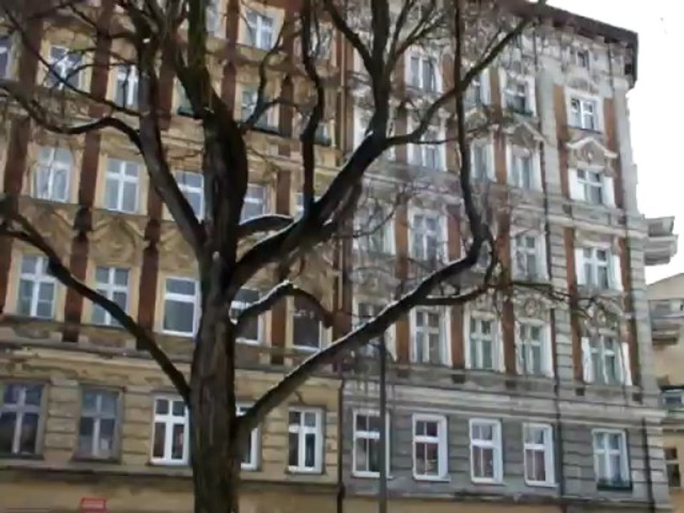 Piotr Polaszczyk - Mają w sobie coś magicznego...