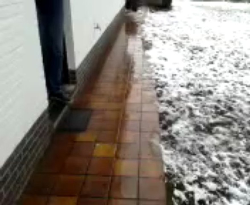 Anubis and Friends, Snow in the morning, playing in our PJ's! Nice PJ's made by my godmother Kathy, from Momo'shondenjasjes.be :-):-)feels nice and warm... we are so spoild