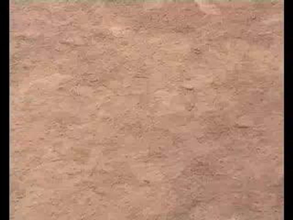 Amis des boules et des voyages