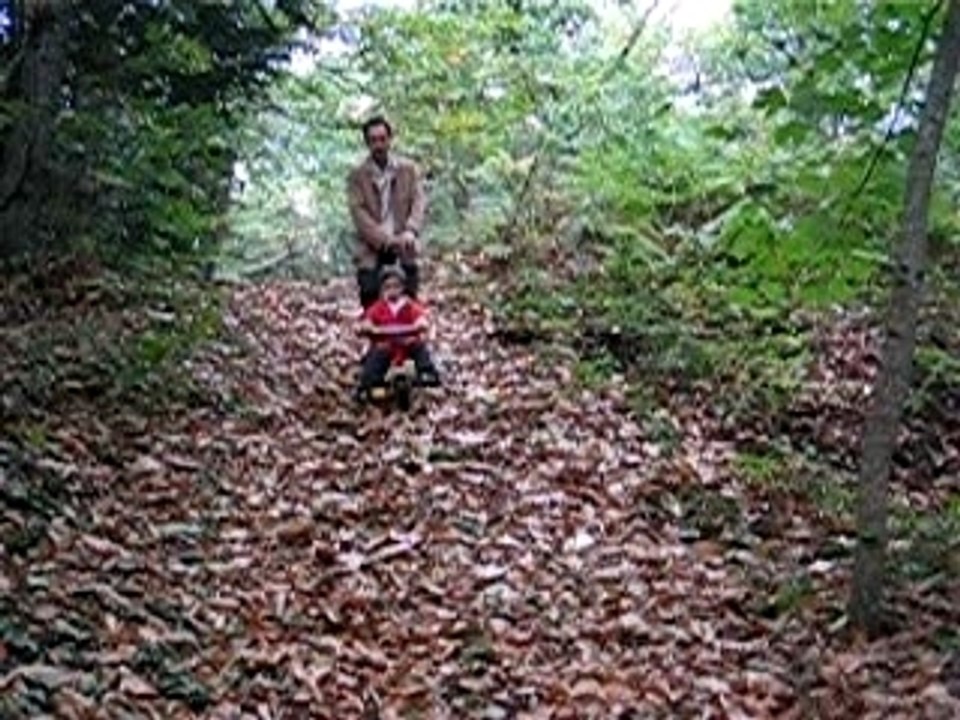 Expédition en forêt