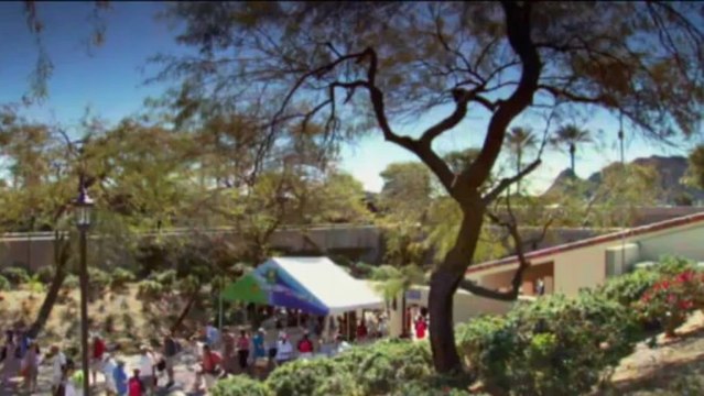 Azarenka i Stosur wycofały się z turnieju w Indian Wells