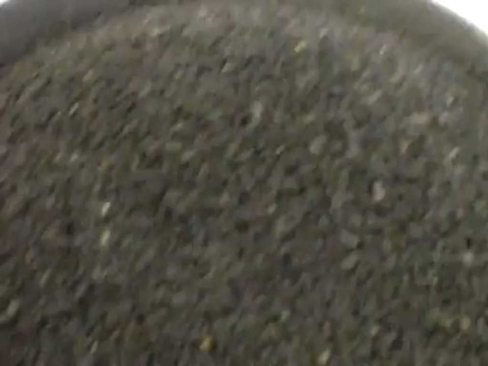 Ekotok 1 - Single Head Grapeseed Oil Press