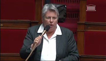 Intervention Sylvie Pichot Amendement Refondation de l'école