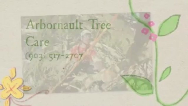 Arbornault Tree Care (903) 517-2707
