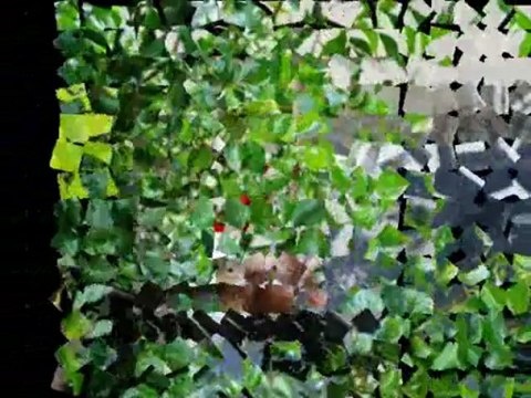 Vontade de Voar (Vicente Telles/Sarmanho) - Vicente Telles 1985 plygran