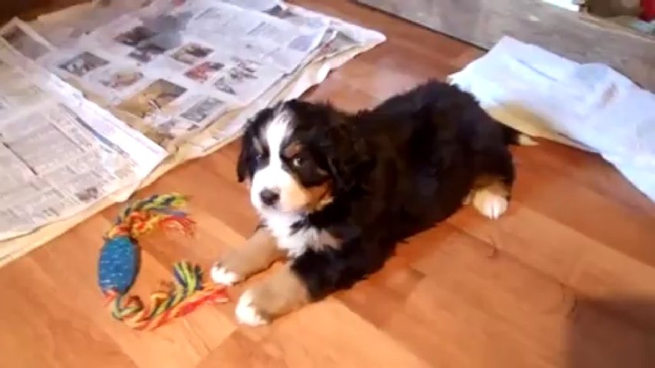 15 mars entre sieste et jeux