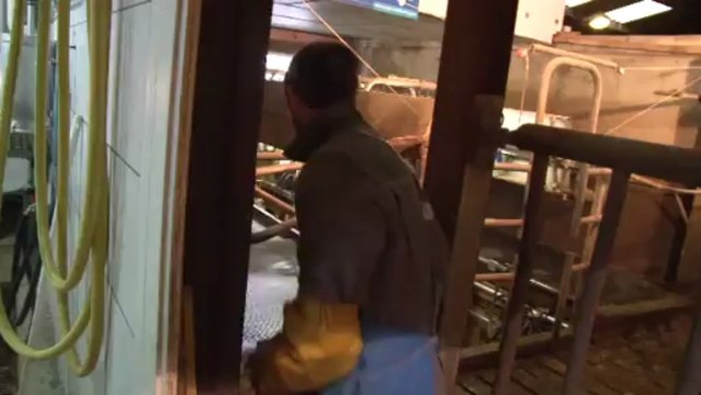 Ludovic, salarié de remplacement en élevage