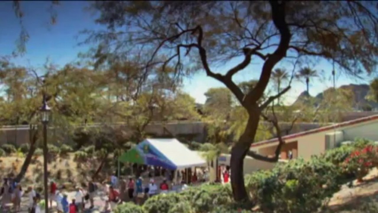 Indian Wells: 2 Absagen! Kerber und Wozniacki kampflos im Halbfinale