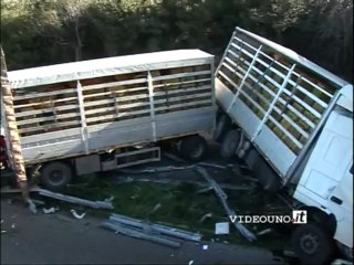 incidente sulla Basentana (Ferrandina)