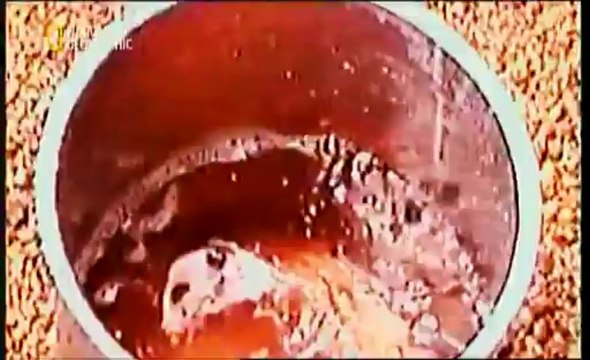 Паранормално: Вещества от космоса