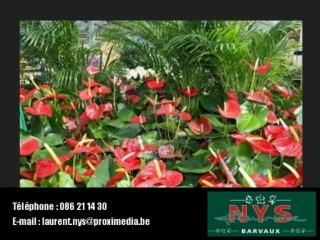 Fleuriste NYS Barvaux sur Ourthe 6940 Durbuy