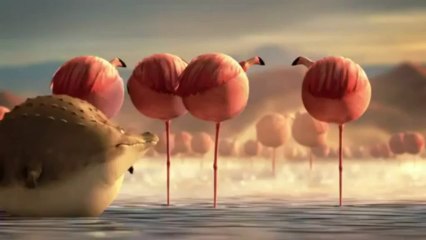 Don't Feed Wild Animals