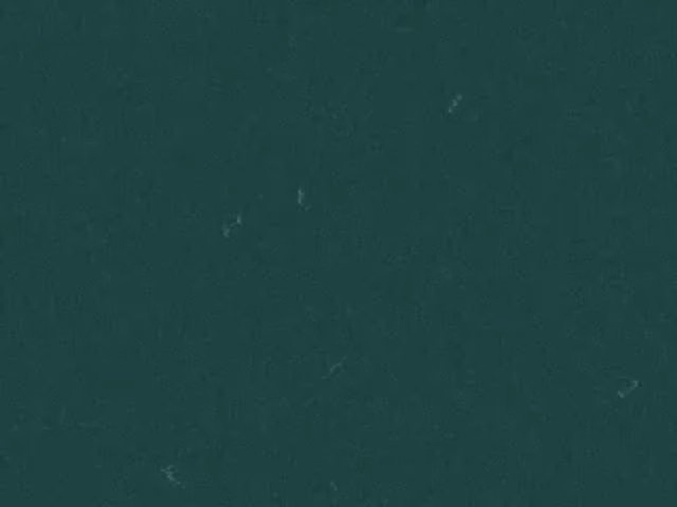 ¿Sabes qué es la feminización de la pobreza?