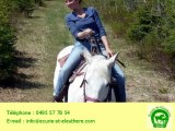 Ecurie cercle équestre Blandain 7522 Hainaut