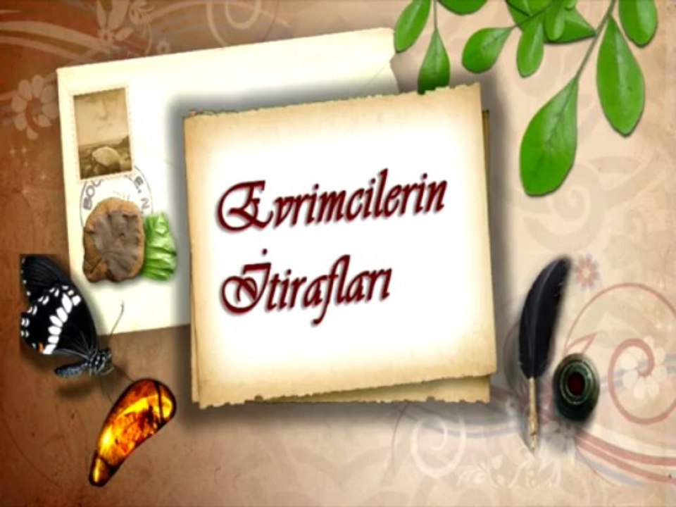 Evrimciler İtiraf Etti : Bir Yaratıcı Vardır