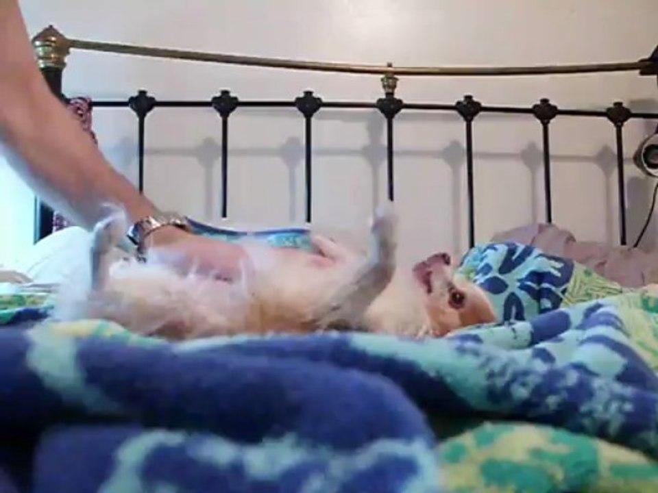 Koko bathtime