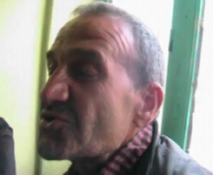 gule eglene