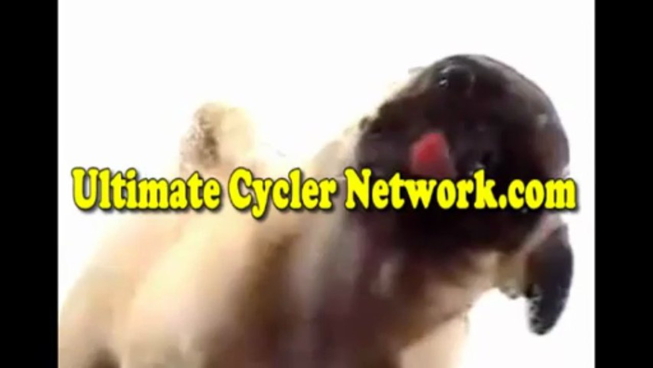 Ultimate Cycler Promo Video