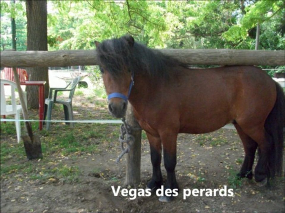 Mon film