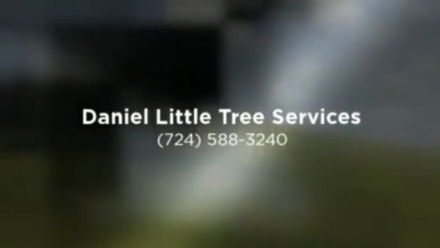 Daniel Little Tree Services (724) 588-3240