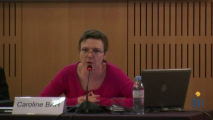 Crise alimentaire 2012 au Sahel - Afrique Verte à l'IFRI -