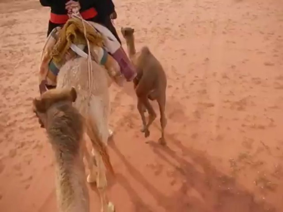 DSCN1439WadiRum