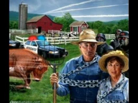 Codex Alimentarius Explications