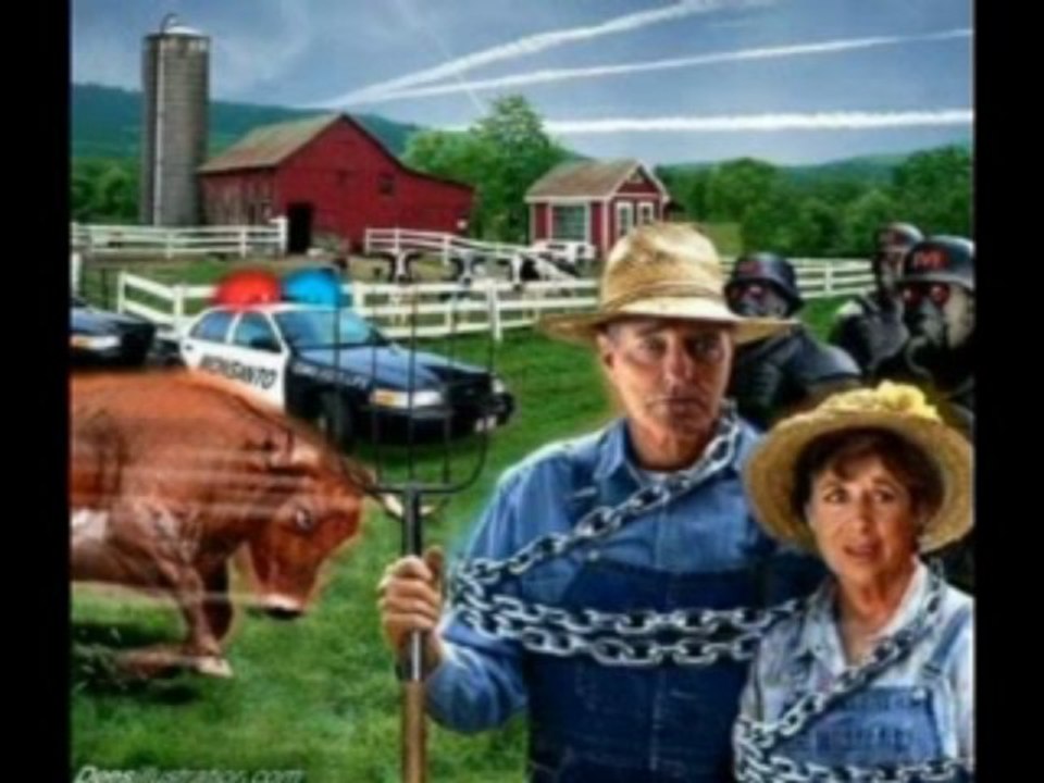 Codex Alimentarius Explications