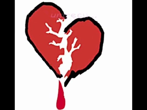 Ti mene ne volis ~ Osman Hadzic