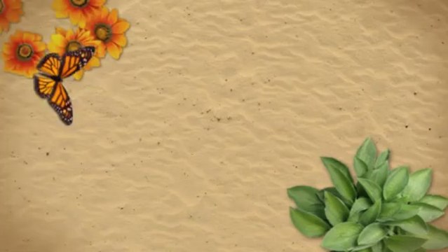 Wear Orthotics Footwear For Pain Free Walking