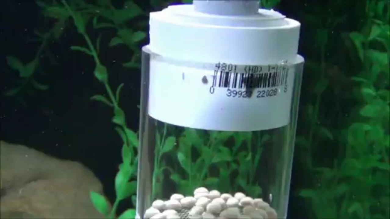 2013-03-15 - Egg tumbler day 01