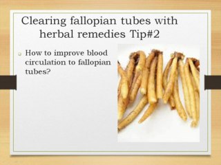 How To Clear Fallopian Tubes With Herbal Remedies