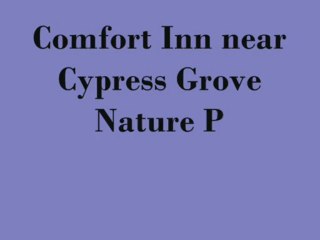 Comfort Inn near Cypress Grove Nature Park
