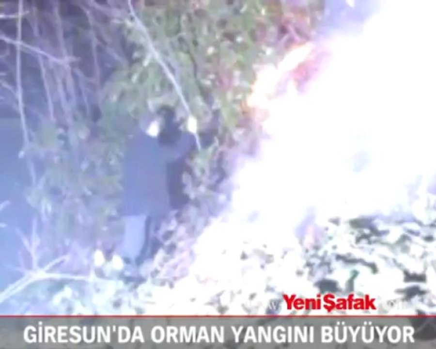 Giresun'da orman yangını büyüyor