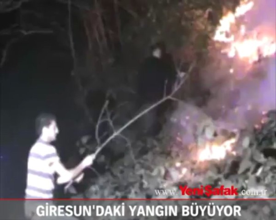 Giresun'daki yangın büyüyor