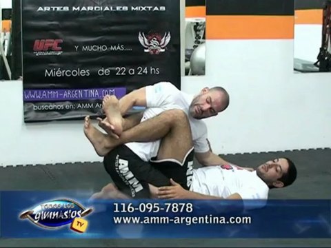 Técnicas de finalizacion en AMM - (MMA) Artes Marciales Mixtas