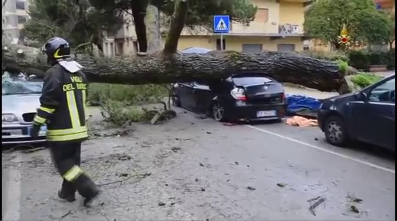 Enna - Interventi causati dal forte vento e dalla pioggia 03 (14.03.13)