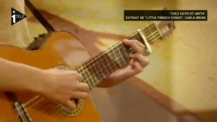 Carla Bruni : son Pingouin fait polémique