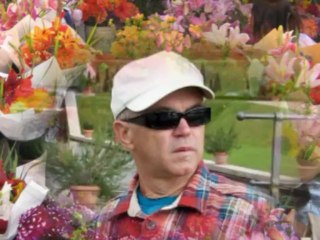 CANE NIKOLOVSKI - SUDBO MOJA