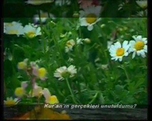 İslam'ın Unutulan Kavramları 6- KURAN'IN GERÇEKLERİ UNUTULDU MU okyay dernegi