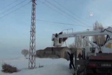 Leyleğe vinçle yuva yaptılar