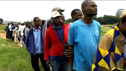 Zimbabwe: référendum sur une nouvelle Constitution