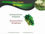 Diet Supplements With  Moringa Leaf Powder