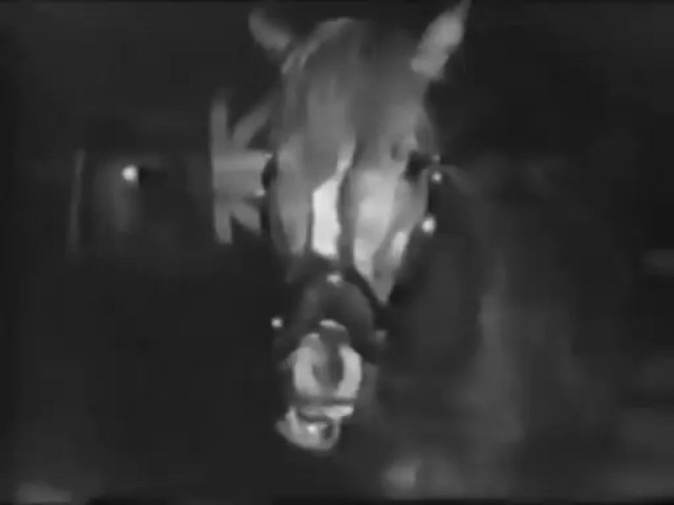 Mr. Ed and Wilbur Pope- unaired pilot Part 14