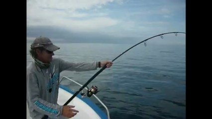 thon rouge au splasher