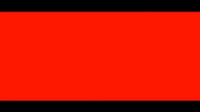 Merci Jacquie et Michel (Harlem Shake LOU Rugby)