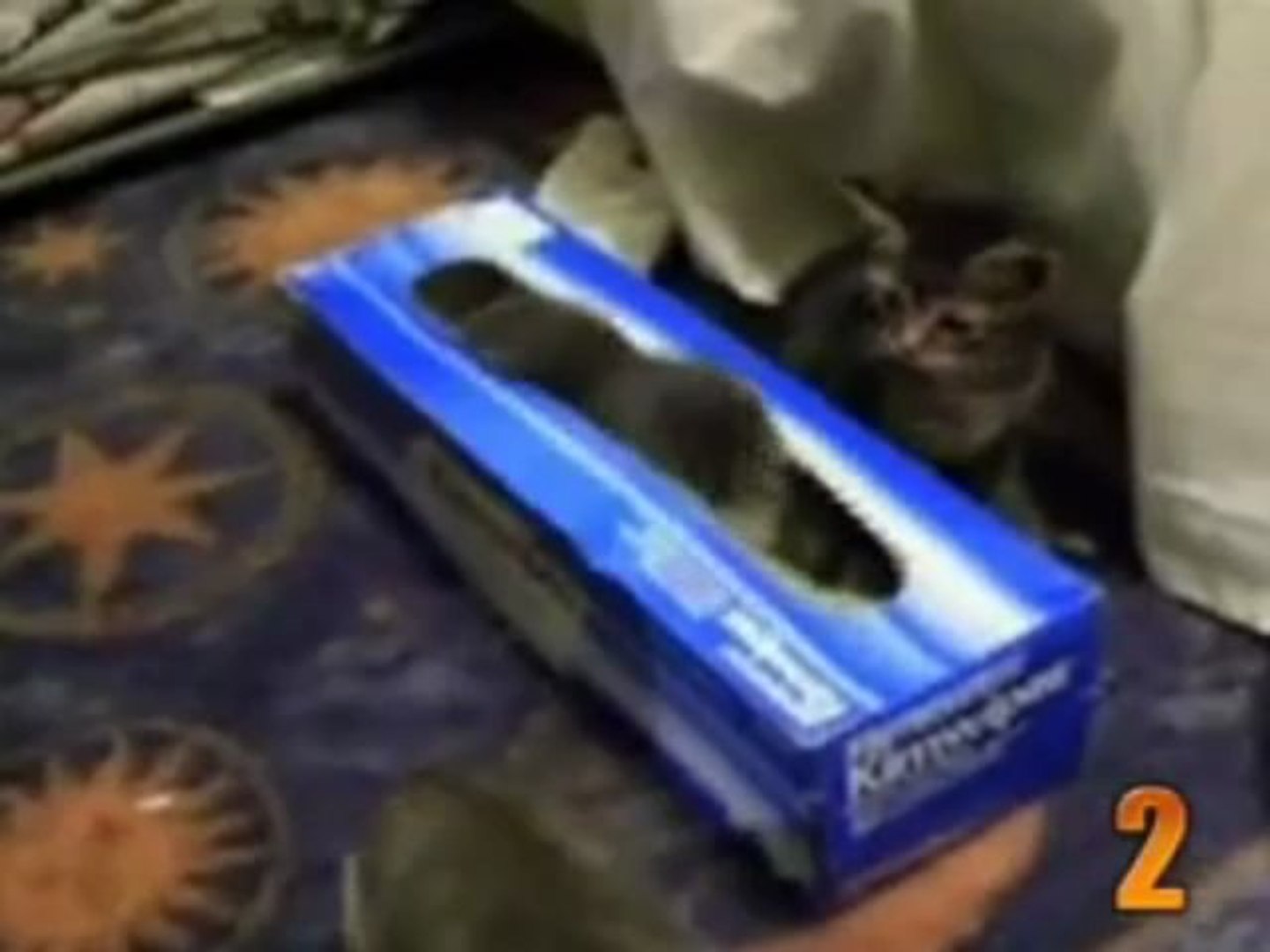 PET PRESTİJ / PET SÜPERMARKET