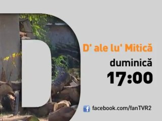 D'ale lui Mitica (2013) - Un Nou Sezon