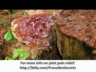 Best Swollen Knee Treatment